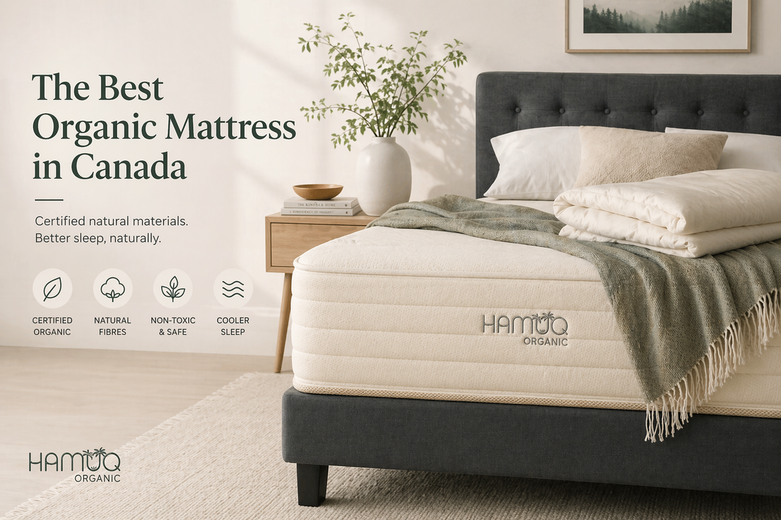 Hamuq mattress guide image for Latex Mattress Canada: Dunlop vs Talalay, Benefits and Best Picks (2026)
