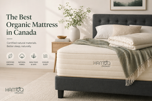 Hamuq mattress guide image for Latex Mattress Canada: Dunlop vs Talalay, Benefits and Best Picks (2026)